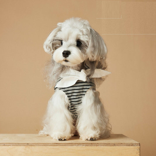 Vestido Rayado Primavera y Verano para Perros - Image 2