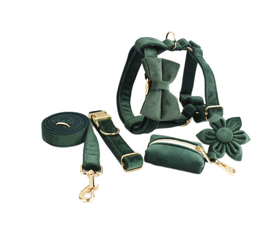 Collar de Terciopelo para Perros - Diseño Elegante y Cómodo - Image 2