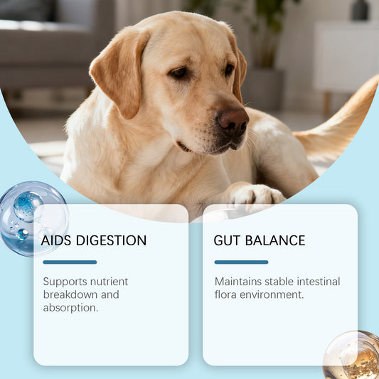 Gránulos Blandos para la Salud Intestinal Canina - Image 2