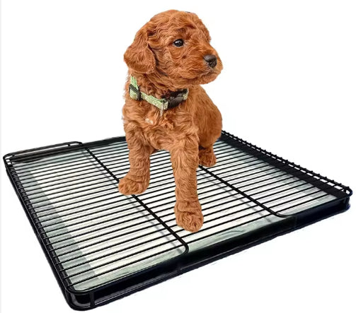 Inodoro Portátil para Perros Pequeños - Bandeja Sanitaria Interior - Image 2