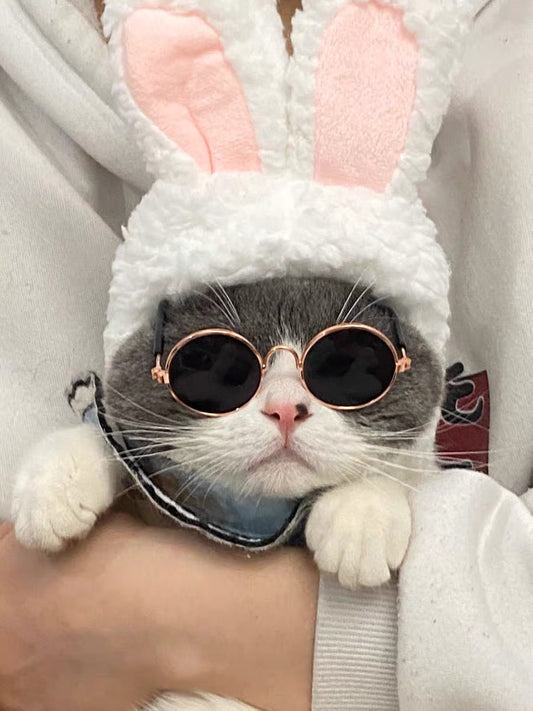 Gorro León para Gatos - Disfraz Divertido y Adorable para Mascotas - Image 2