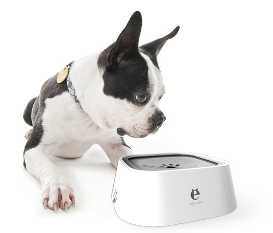 Comedero Flotante Antivuelco para Perros - Sin Derrames - Image 2