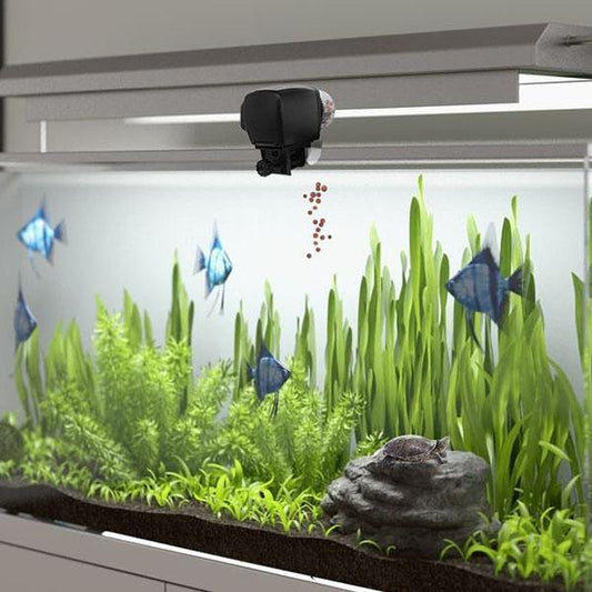 Alimentador Automático Digital para Acuario - Image 2