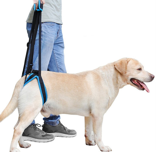 Soporte de Marcha con Correa para Patas de Mascotas - Image 2