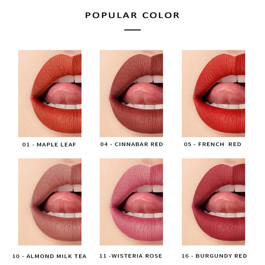 Paleta de 16 Labiales Mate Larga Duración - Fórmula Antiadherente - Image 2