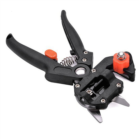 Producto Premium 12 - Image 2