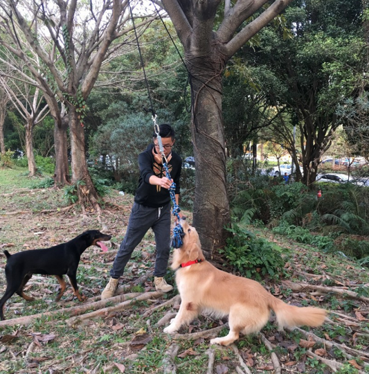 Cuerda de Algodón con Resorte para Mascotas - Image 2