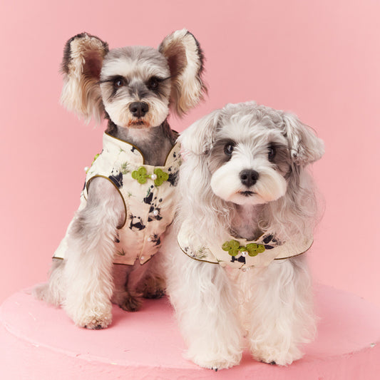 Chaleco sin Mangas Estilo Chino para Mascotas - Diseño Panda Teddy Schnauzer Bichón - Image 2