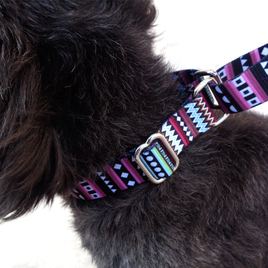 Collar Acolchado para Perros Pomi - Collar Cómodo para Paseos - Image 2