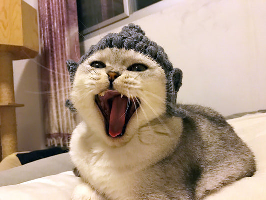 Gorro de Lana Buddha para Gatos - Disfraz Acogedor - Image 2