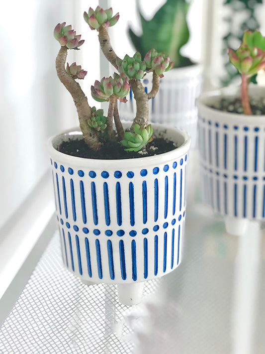 Maceta Decorativa Pintada a Mano con Cactus y Suculentas - Diseño Artístico - Image 2