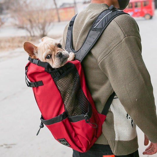 Mochila Transportadora para Perros - Portátil y Cómoda para Viajes - Image 2