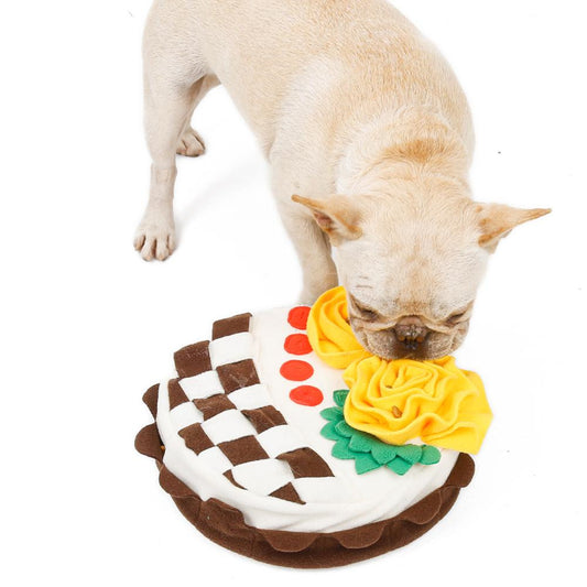 Tapete Olfativo para Cumpleaños de Perros - Image 2