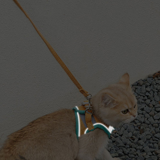 Arnés Reflectante para Gatos con Correa de Tracción - Seguridad y Estilo - Image 2