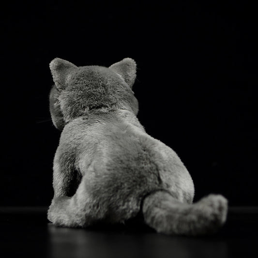 Peluche Gato Azul Británico de Shorthair - Muñeco Adorable - Image 2