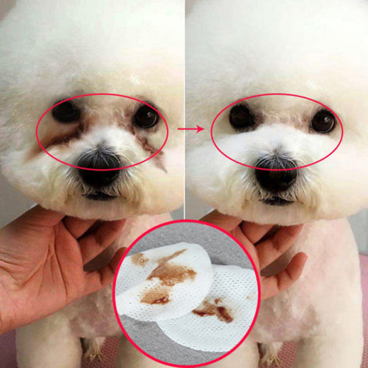 Toallitas de Limpieza Ocular para Mascotas - Perros y Gatos - Image 2