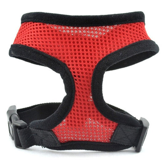 Arnés Chaleco Teddy con Cadena para Perros Pequeños - Image 2