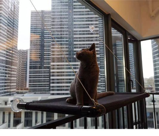 Hamaca Ventana para Gatos con Ventosas de Succión - Image 2