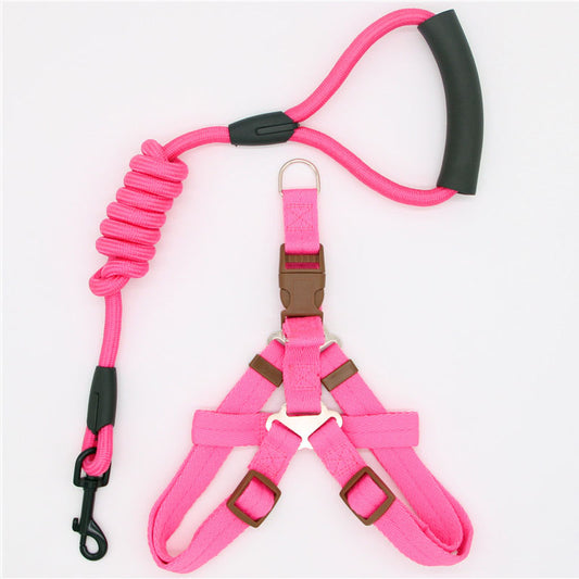 Correa para Perro Resistente y Cómoda - Image 2