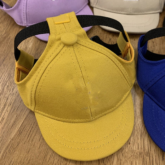 Gorra de Béisbol para Mascotas - Diseño Teddy Schnauzer Viral - Image 2