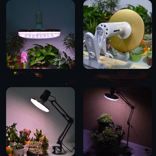 Luz de Espectro Completo para Cultivo de Plantas - Image 2