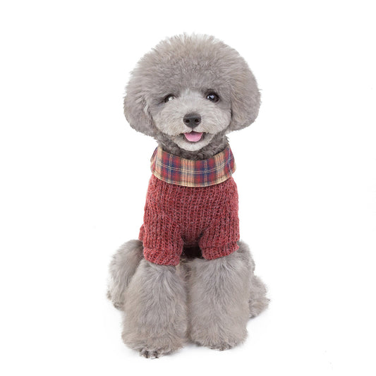 Ropa Protectora para Perros y Gatos contra el Viento - Image 2