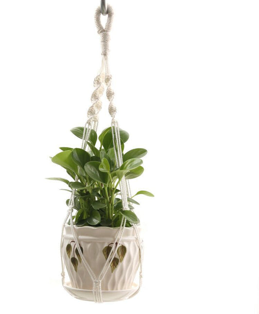 Colgador de Plantas Tejido Artesanal para Pared - Image 2