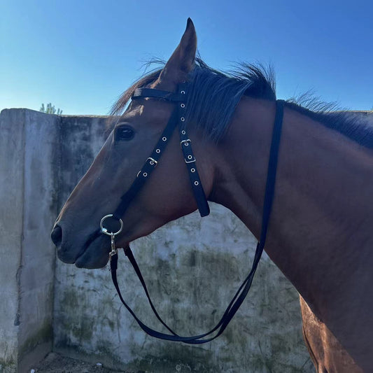 Black horse halter rope with silver metal hardware, designed for riding, displayed against a white background. - Image 2