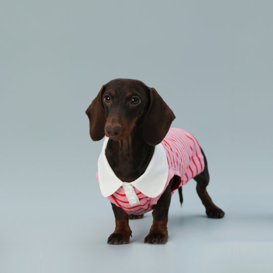 Chaleco sin Mangas para Perro Pequeño Rayas Rojo - Image 2