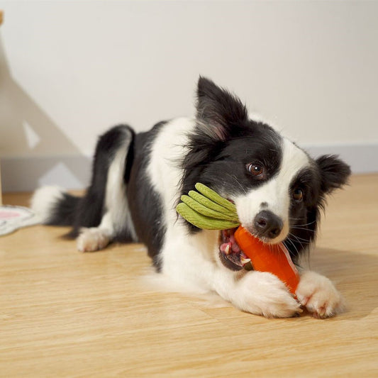 Juguete Masticable para Mascotas Zanahoria Resistente con Sonido - Image 2