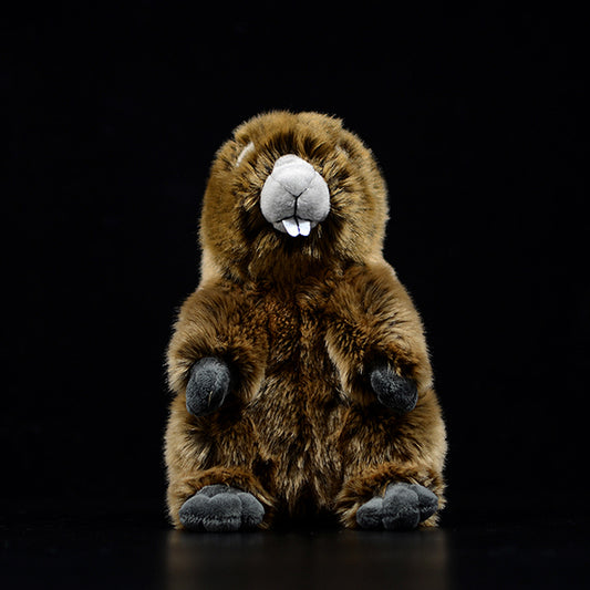 Peluche de Marmota Adorable - Modelo de Animal Realista - Image 2