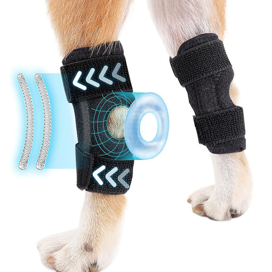 Arnés de Soporte para Patas Traseras en Perros - Image 2