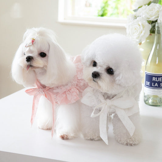 Vestido para Gato con Collar de Moño Elegante - Image 2
