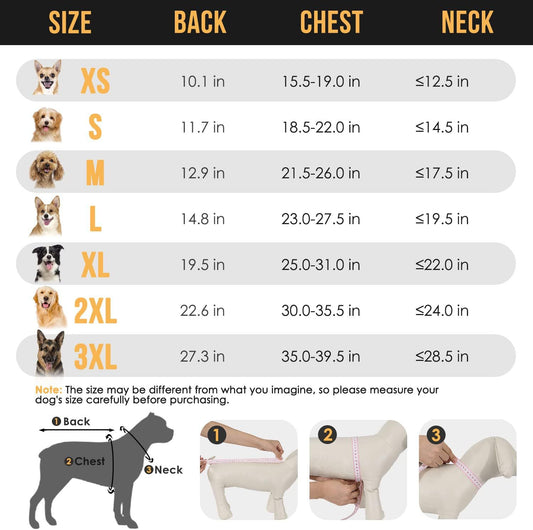 Impermeable para Perros Pequeños con Capucha Transparente - Image 2