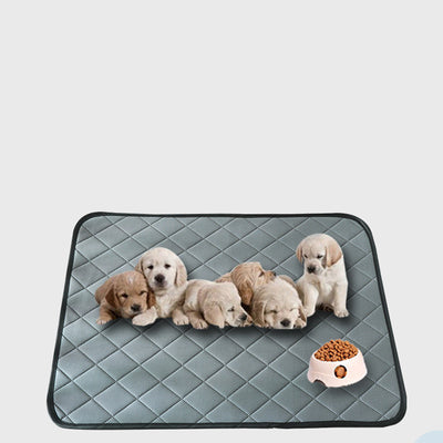 Pañales para Perros