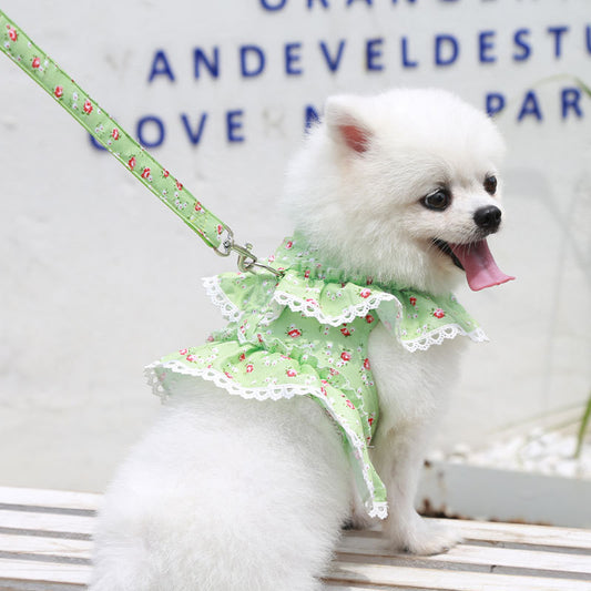 Arnés Pectoral con Correa para Perro Pequeño - Encaje Floral Primavera - Image 2