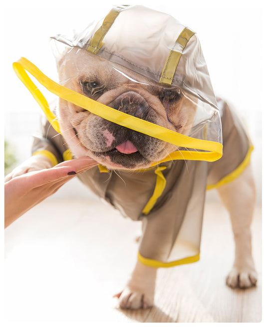 Impermeable para Cachorros - Protección Total - Image 2