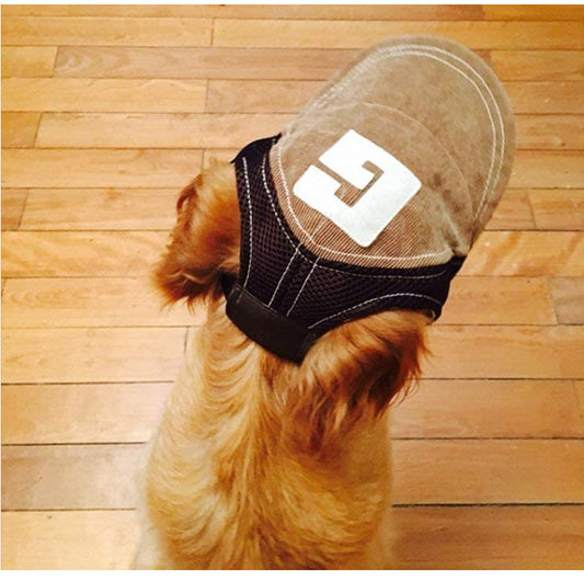Gorra Protectora Solar para Perros Transpirable - Image 2