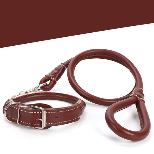 Collar de Cuero Premium con Cuerda para Perros Golden Retriever y Husky Tamaño Mediano-Grande - Image 2