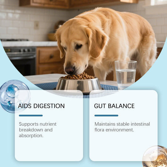 Probióticos en Gránulos Blandos para la Salud Digestiva de tu Perro - Image 2