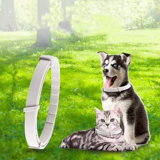 Collar Antiparasitario Ajustable para Perros y Gatos - Image 2