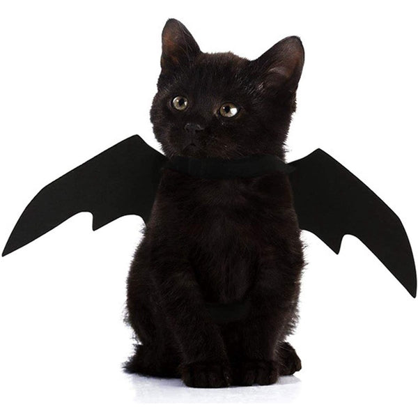 Alas de Murciélago para Mascotas - Disfraz Halloween Gato y Perro