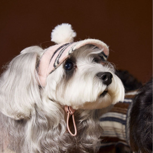 Gorro de Pelota Esponjosa a Rayas para Mascotas - Image 2