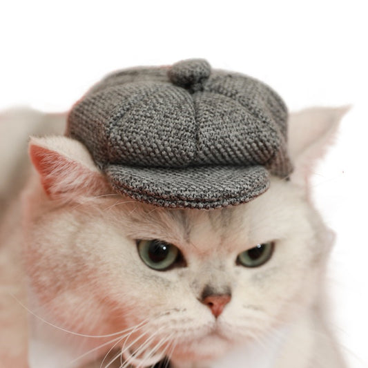 Boina y Corbata para Gato - Accesorios Fotográficos de Estilo Gentleman - Image 2