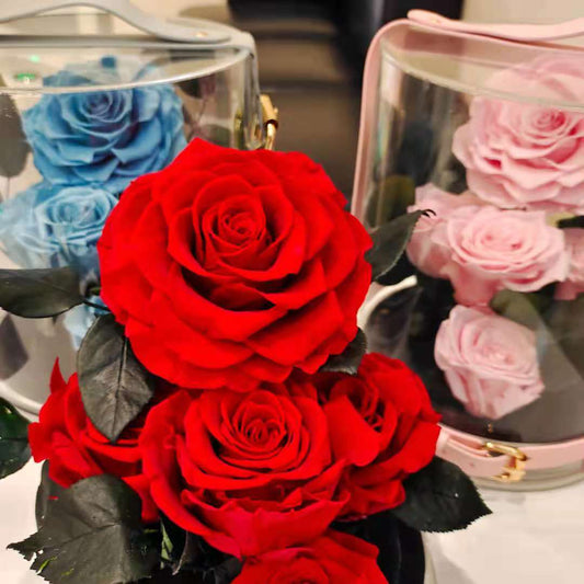 Rosa Roja Eterna en Acrílico - Regalo Romántico Jardín Secreto - Image 2