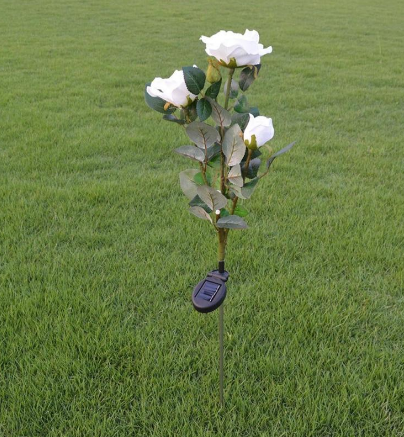 Linterna Romántica con Rosas Blancas y 3 Luces LED - Image 2