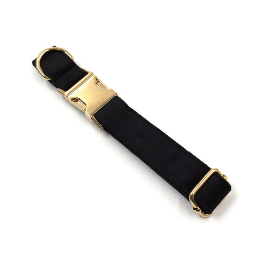Collar Antiextravío para Perros con Diseño Elegante - Image 2