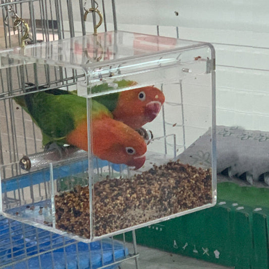 Comedero Acrílico para Pájaros - Image 2