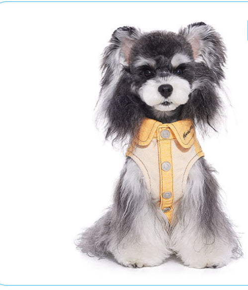 Ropa para Perros Pequeños - Abrigos y Suéteres para Bichón, Yorkshire y Schnauzer - Image 2