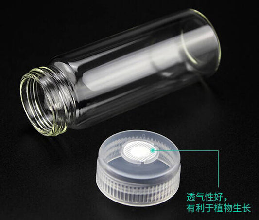 Tubos de Borosilicato 3.3 para Cultivo de Plantas con Tapas Transpirables - Image 2